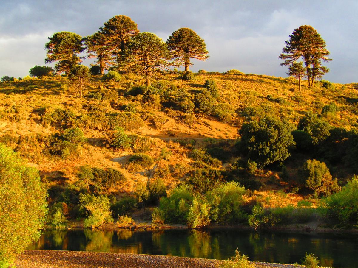 La Berendina Hotel Huechulafquen Lake Eksteriør billede